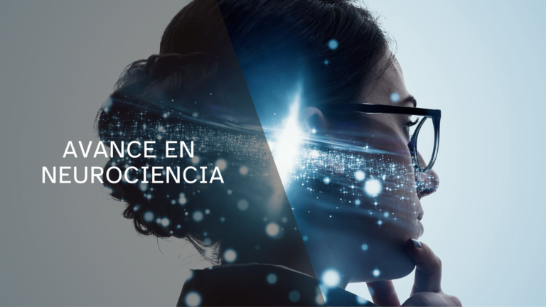 Avances en neurociencia